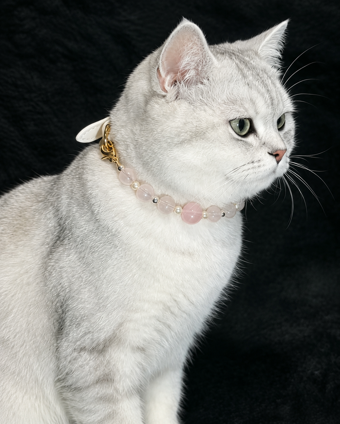 A white cat wearing a pink beaded collar with gold accents, set against a black textured background.
