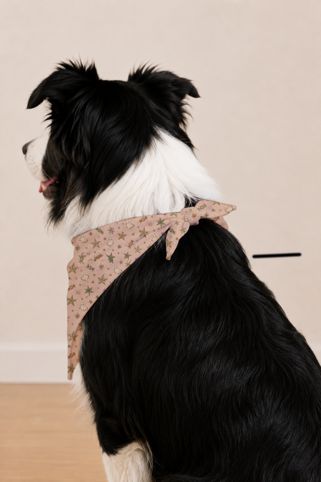 A black and white dog wearing a beige bandana with a small floral print, shown from the side against a plain beige wall and light wood floor.