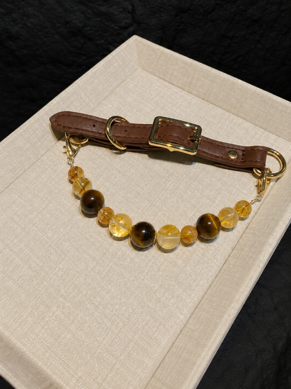 Jinyao amber crystal pet collar with brown adjustable strap and gold-tone hardware