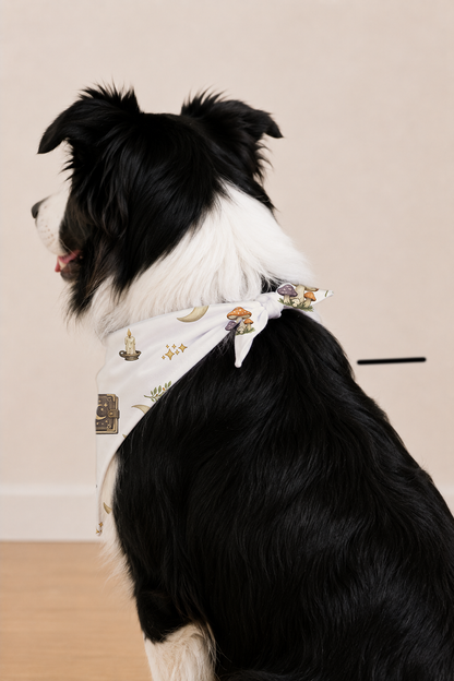 A black and white dog wearing a white bandana with a whimsical cartoon print, shown from the side against a plain beige wall and light wood floor.