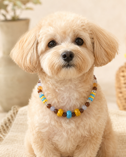 Small dog wearing colorful blue yellow and brown beaded pet necklace