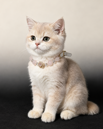 Cat wearing the Blush Bow crystal pet collar with soft pink beads