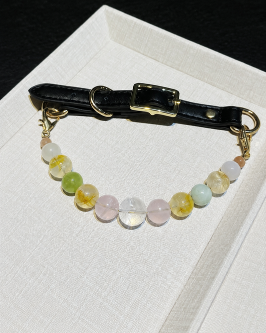 Lime Jelly mixed-bead crystal pet collar with pastel beads, black strap and gold-tone hardware