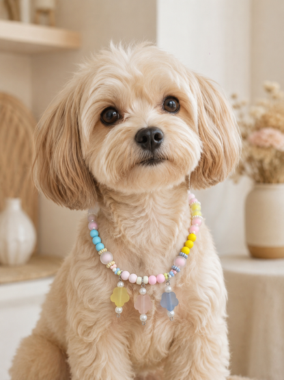 Small dog wearing a pastel pink blue and yellow flower-charm pet necklace