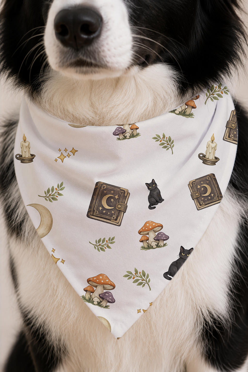 A close-up of a black and white dog wearing a white bandana-style pet scarf with a whimsical print of black cats, mushrooms, candles, books, and leaves.