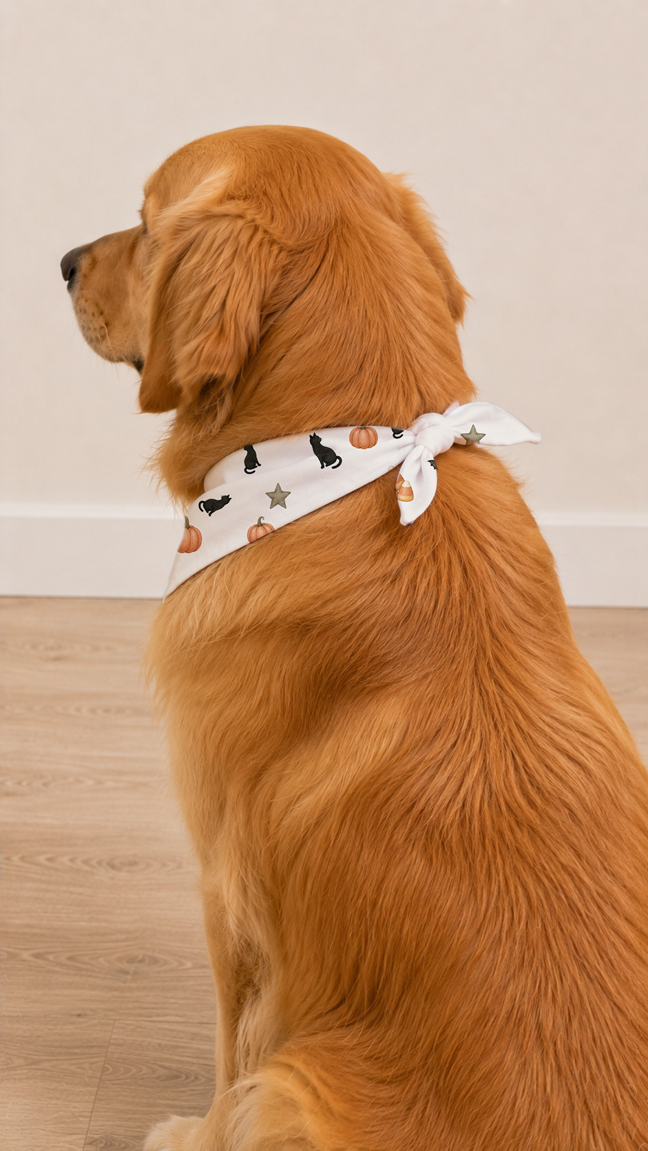 A golden retriever dog wearing a white bandana with a black cat and orange pumpkin pattern, sitting on a light wood floor against a beige wall.