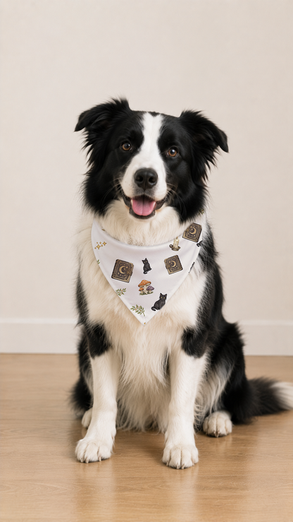 A black and white Border Collie dog wearing a white bandana with a cute dog-themed print, sitting on a light wood floor against a beige wall.
