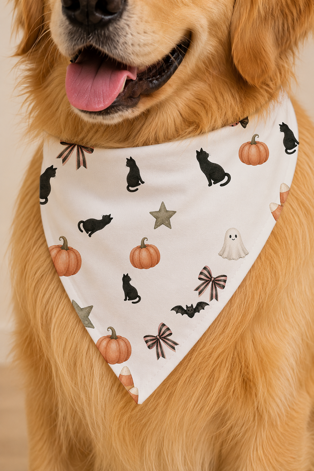 A golden retriever dog wearing a white triangular bandana with a Halloween print of black cats, orange pumpkins, brown bows, a white ghost, and gray stars.