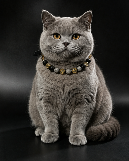 Gray cat wearing a Midnight Gold crystal pet collar with black, gray and yellow beads