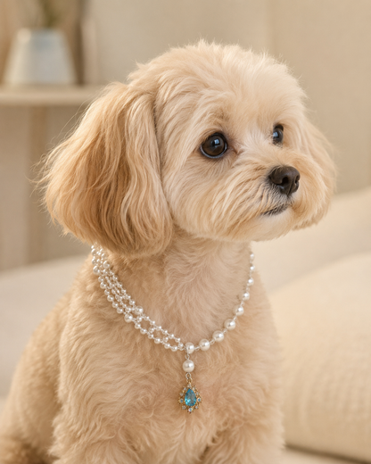 Side view of small dog wearing double-layer pearl-style necklace