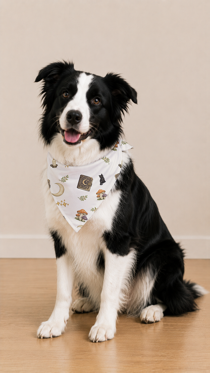 A black and white dog sitting on a wooden floor against a beige wall, wearing a white bandana with a whimsical print of a crescent moon, spiderwebs, stars, and small cartoon characters.