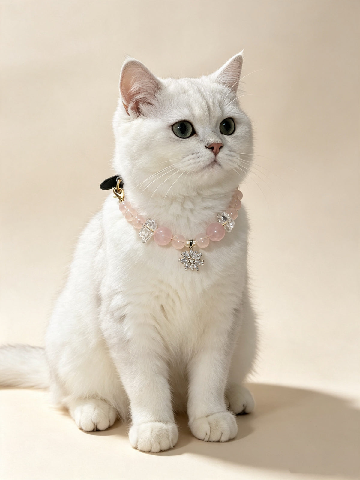White cat wearing a Blush Snowflake crystal pet collar with pink beads and snowflake charm