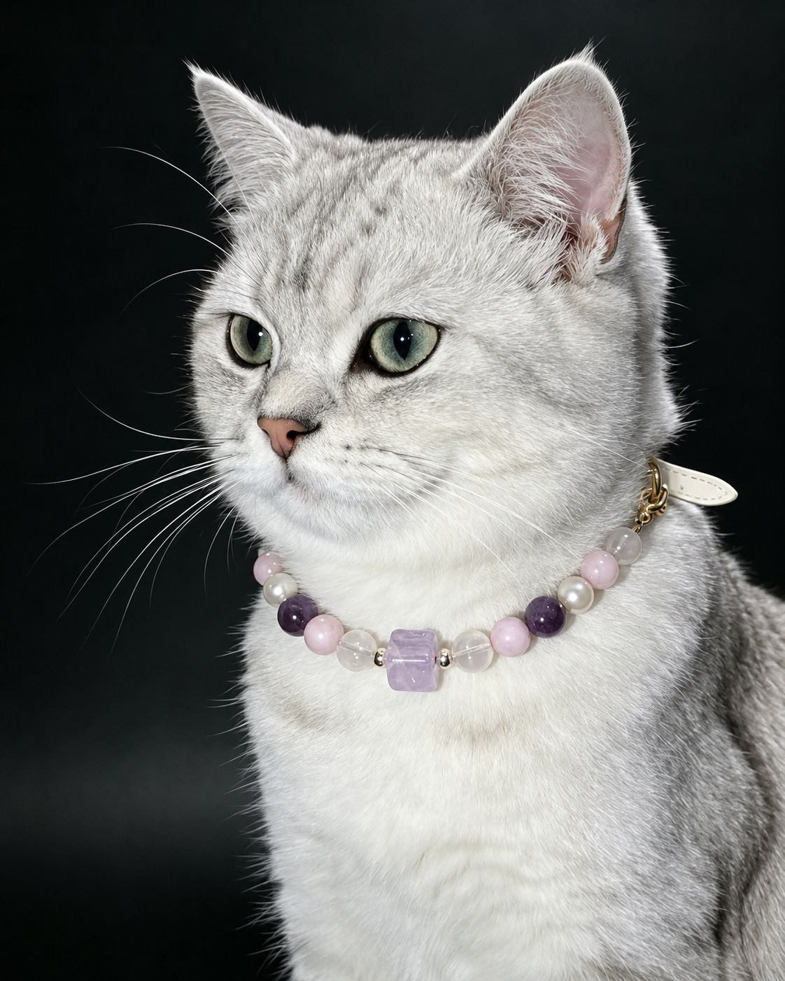 White cat wearing a Taro Purple crystal pet collar with lavender and purple beads