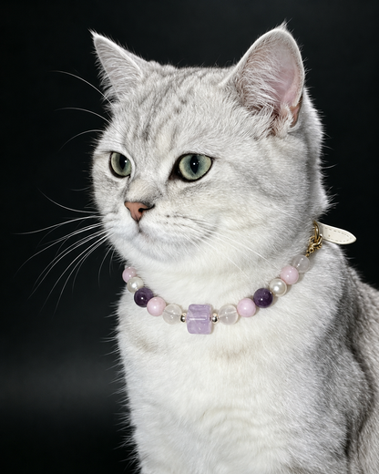 White cat wearing a Taro Purple crystal pet collar with lavender and purple beads