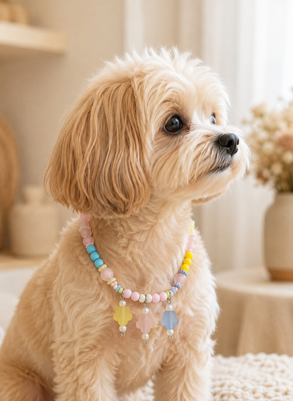 Side portrait of a small dog wearing the Pastel Bloom beaded pet necklace