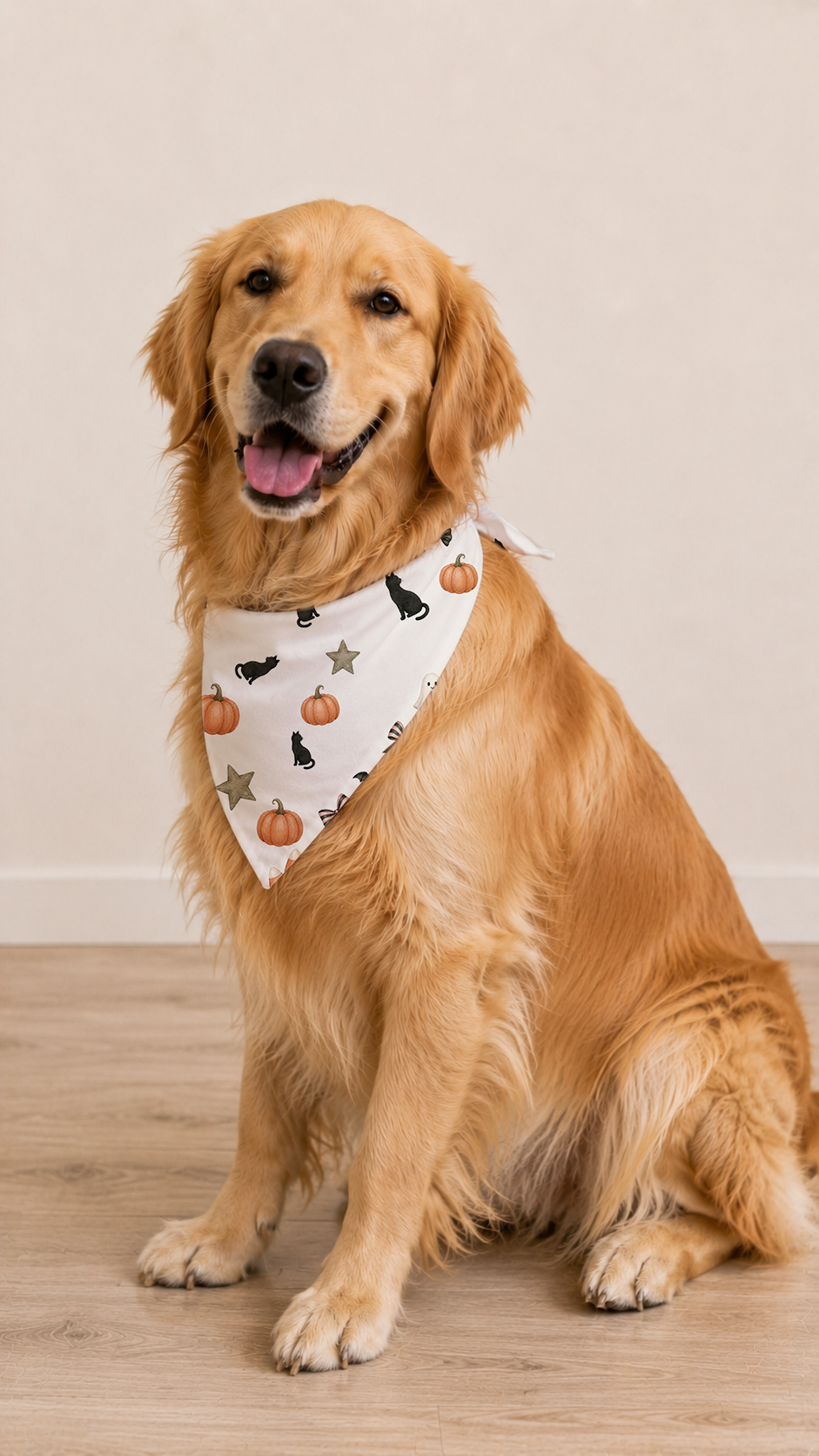 A golden retriever dog sitting on a light wood floor against a beige wall, wearing a white bandana with a Halloween print of pumpkins, bats, and stars.