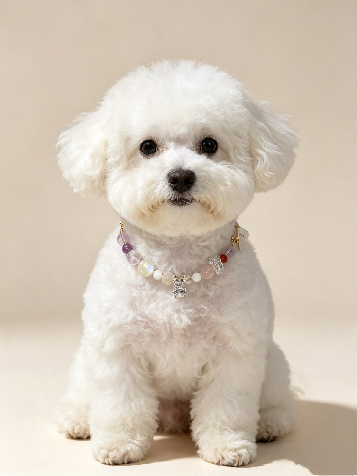 Small white dog wearing a Lavender Charm crystal pet collar with pastel beads and sparkling charm