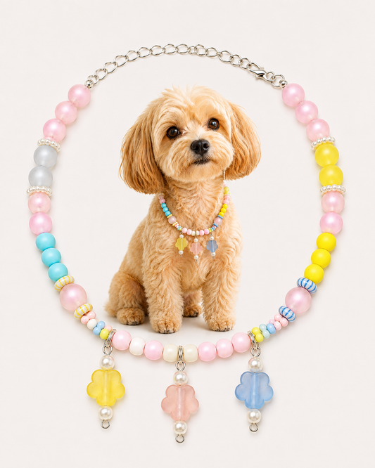 A small fluffy tan dog sits centered against a light warm background, wearing a pastel beaded collar necklace with pink, yellow, blue, and white beads plus flower-shaped charms. The necklace is arranged in an oval around the dog, and the dog itself is the main visible subject, so this is classified as Lifestyle rather than Product/Packaging.