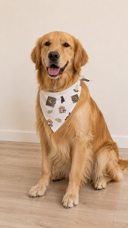 A golden retriever dog sitting on a light wood floor against a plain beige wall, wearing a white bandana with a small illustrated pattern.