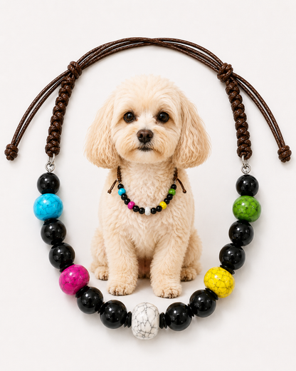 A small cream-colored dog sits centered against a plain white background, wearing a beaded necklace. In front of the dog is a larger matching necklace arrangement made of dark brown braided cords with black beads and bright accent beads in blue, pink, green, yellow, and white.