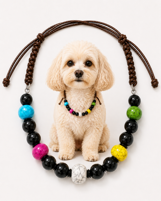 A small cream-colored dog sits centered against a plain white background, wearing a beaded necklace. In front of the dog is a larger matching necklace arrangement made of dark brown braided cords with black beads and bright accent beads in blue, pink, green, yellow, and white.