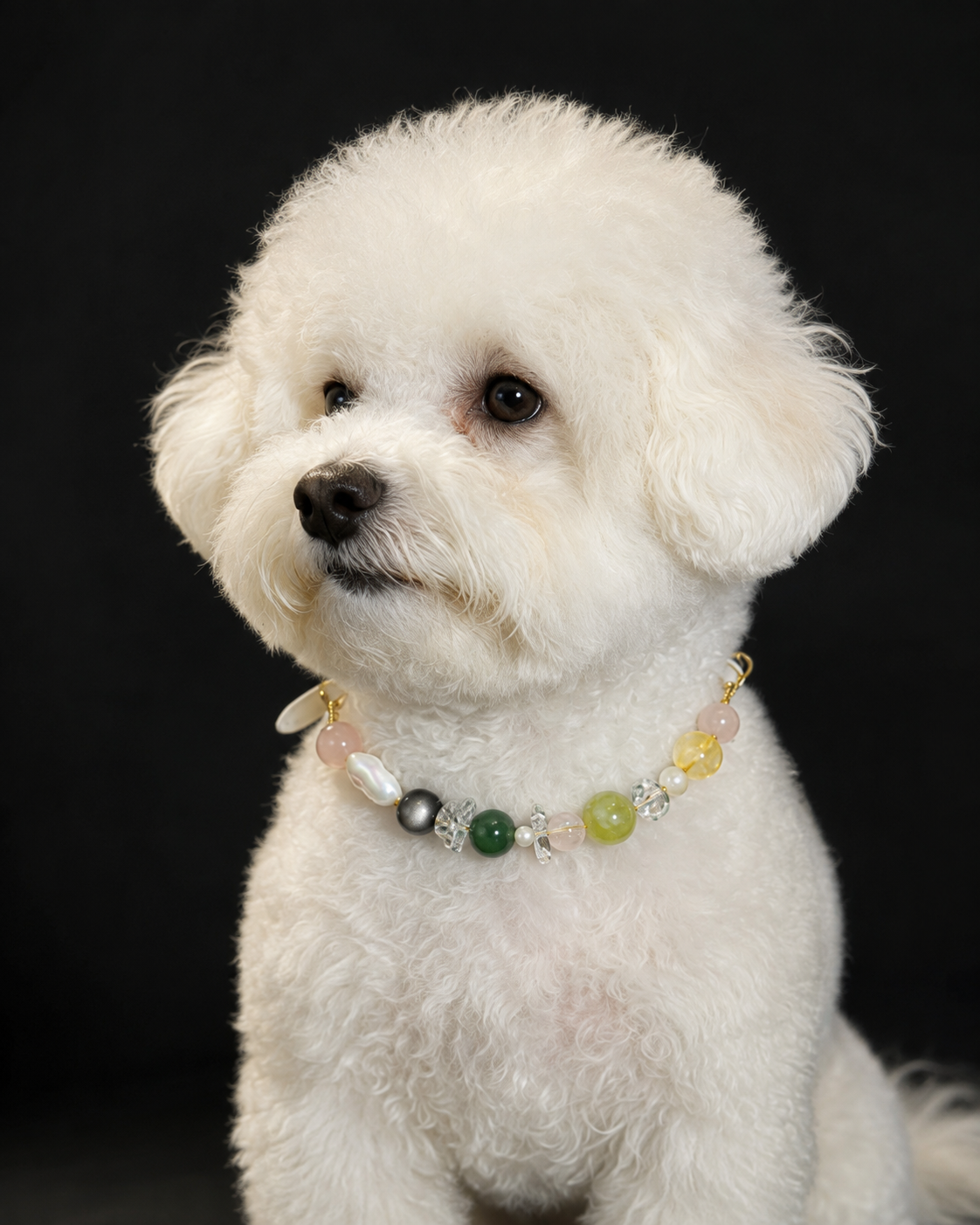 White dog wearing the Qingwu multi-stone crystal pet collar