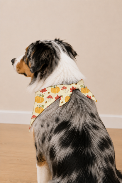 A dog wearing a patterned bandana with a pumpkin and spider design, photographed indoors against a plain beige wall and light wood floor.