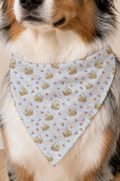 A close-up of a dog wearing a triangular bandana-style pet collar. The collar has a pale blue background with a repeating pattern of small brown baskets, red berries, and yellow flowers.