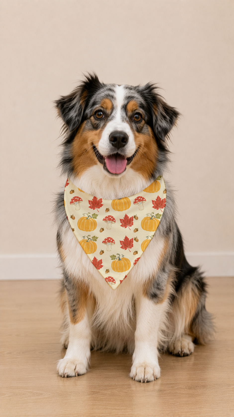 A tricolor Australian Shepherd dog sits on a light wood floor wearing a cream-colored bandana with an autumn pattern of pumpkins, maple leaves, and ladybugs.