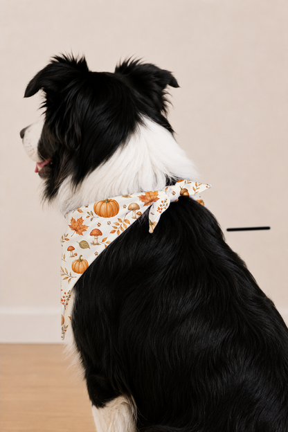 A black and white dog wearing a white bandana with an orange and yellow autumn leaf and pumpkin pattern, shown from the side against a plain beige wall.