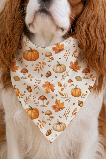 A close-up of a dog wearing a cream-colored bandana-style pet bib with an autumn print of pumpkins, maple leaves, acorns, and mushrooms.