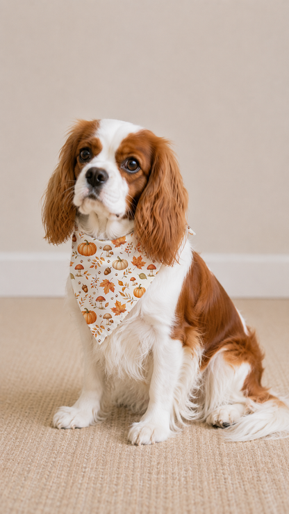 A brown and white Cavalier King Charles Spaniel dog wearing a white bandana with a pumpkin print, sitting on a beige carpet against a neutral beige wall.