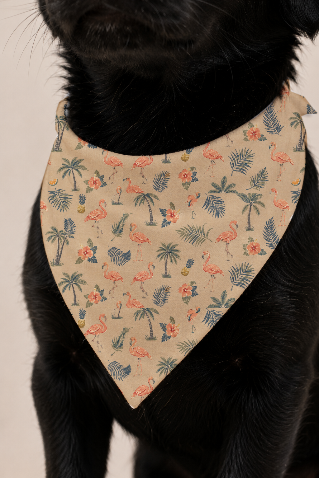A close-up of a black dog wearing a beige bandana-style bib with a tropical print of pink flamingos, palm trees, and blue leaves on a light neutral background.