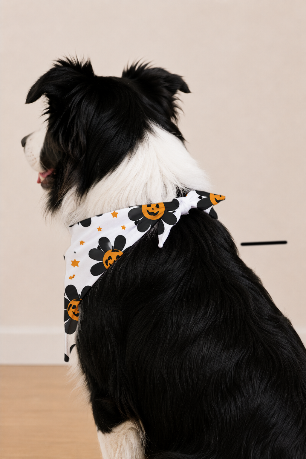 A black and white dog wearing a white bandana with a black flower and orange pumpkin print, shown from the side against a plain beige wall and light wood floor.