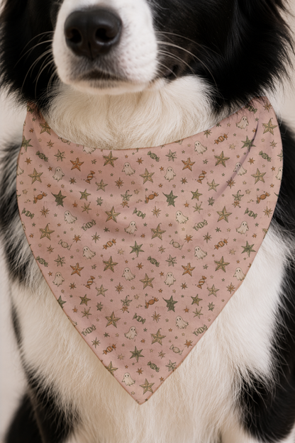 A close-up of a black and white dog wearing a dusty pink triangular bandana with a pattern of small gold stars and white cartoon characters.