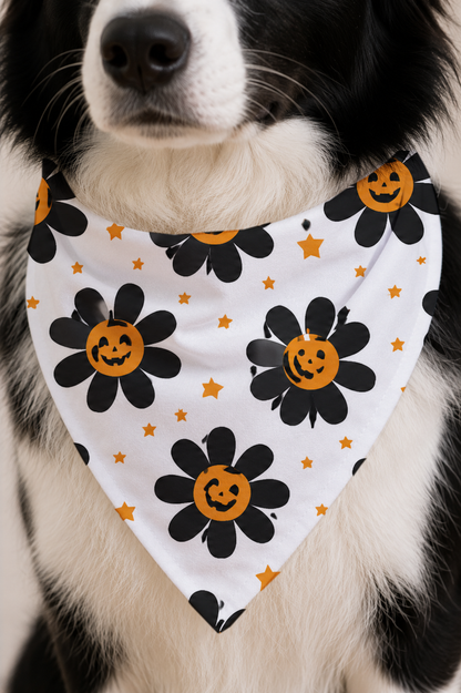 A close-up of a black and white dog wearing a white triangular bandana with a black flower and orange pumpkin jack-o'-lantern pattern.