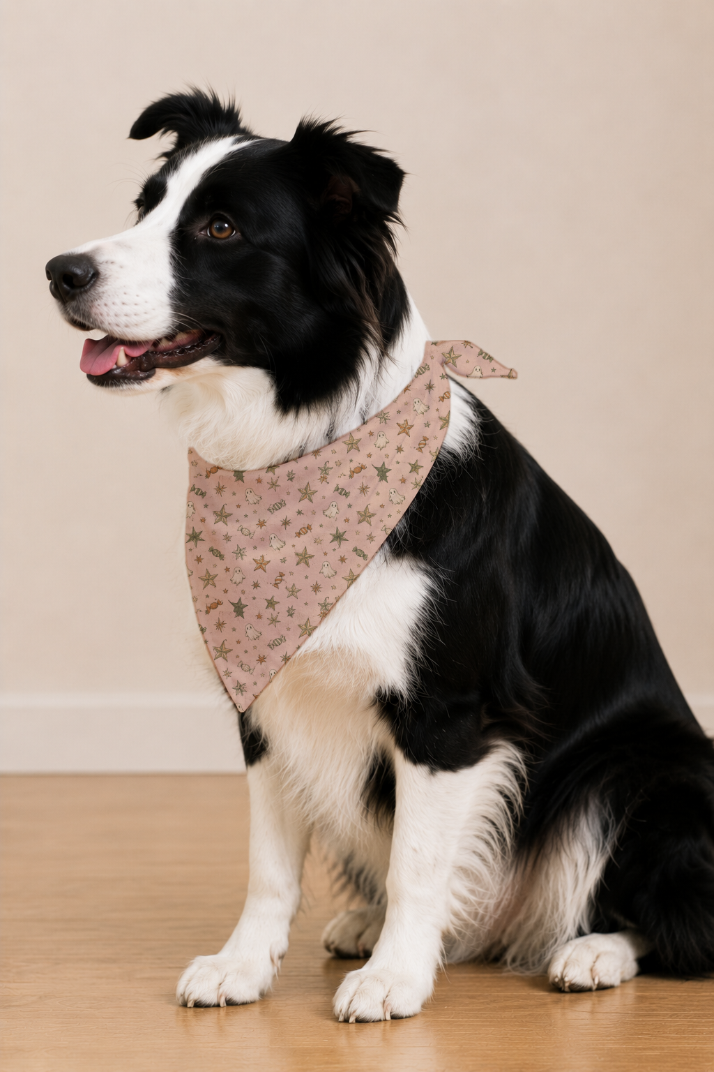 A black and white Border Collie dog wearing a dusty pink bandana with a small star pattern, sitting on a light wood floor against a beige wall.