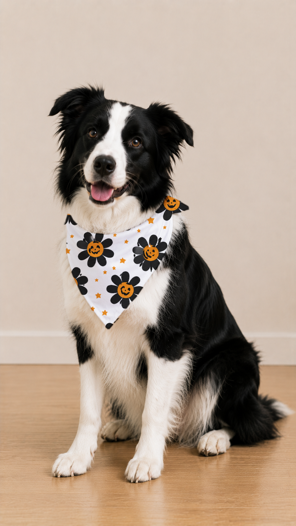 A black and white Border Collie sits on a light wood floor wearing a white bandana with a black and orange flower pattern, set against a plain beige wall.