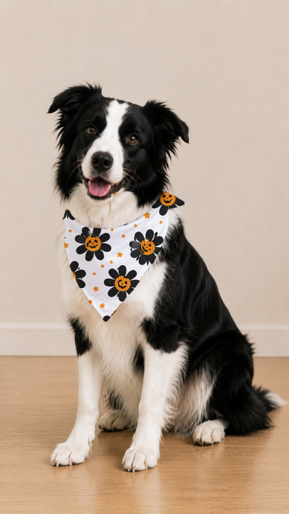 A black and white Border Collie sits on a light wood floor wearing a white bandana with a black and orange flower pattern, set against a plain beige wall.