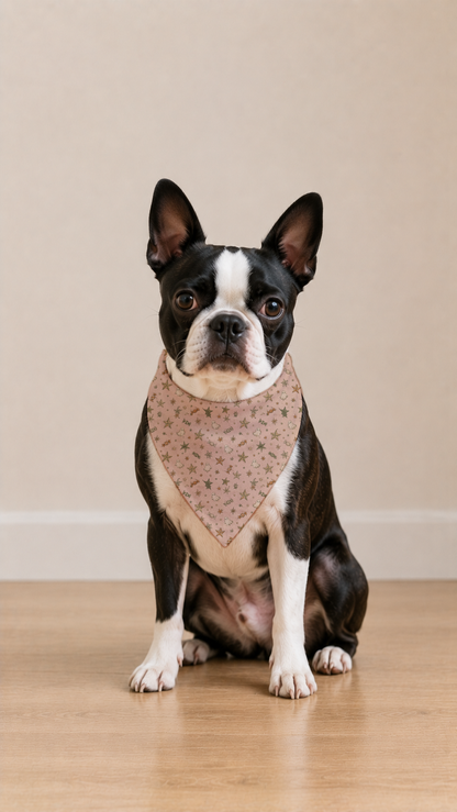 A Boston Terrier dog wearing a beige bandana with a small pink floral pattern, sitting on a light wood floor against a neutral beige background.