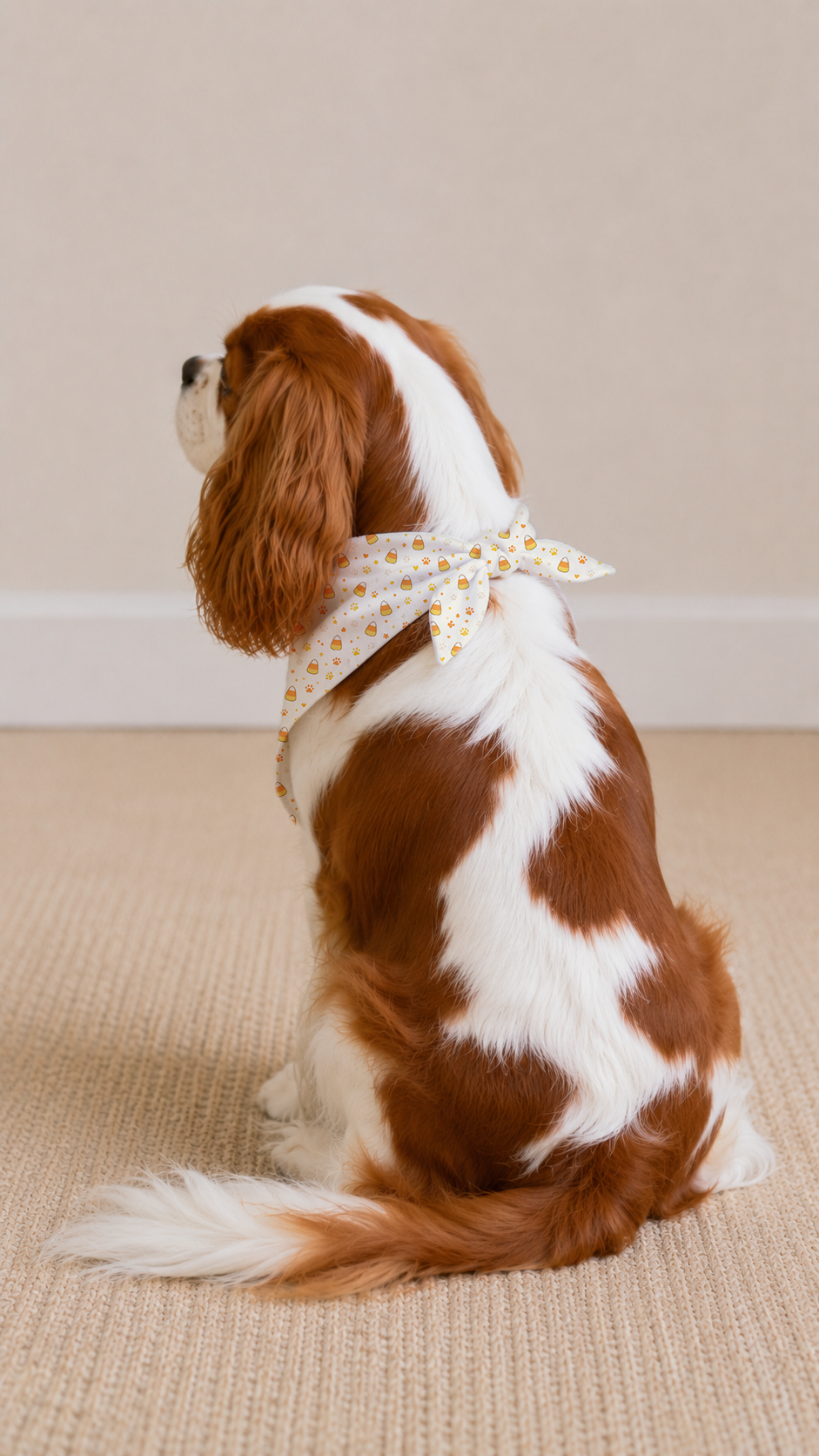 A Cavalier King Charles Spaniel dog sits on a beige carpeted floor against a neutral beige wall, wearing a cream-colored fabric bandana with a small yellow floral pattern tied in a bow around its neck.