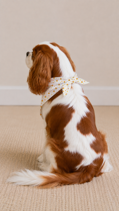 A Cavalier King Charles Spaniel dog sits on a beige carpeted floor against a neutral beige wall, wearing a cream-colored fabric bandana with a small yellow floral pattern tied in a bow around its neck.