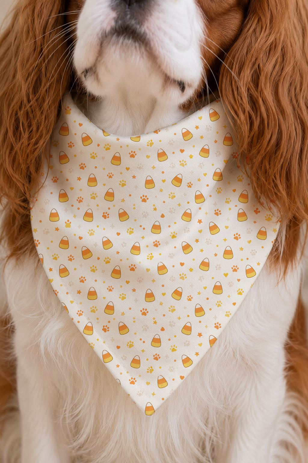 A close-up of a dog wearing a cream-colored bandana bib with a repeating pattern of orange and yellow candy corn and small paw prints.