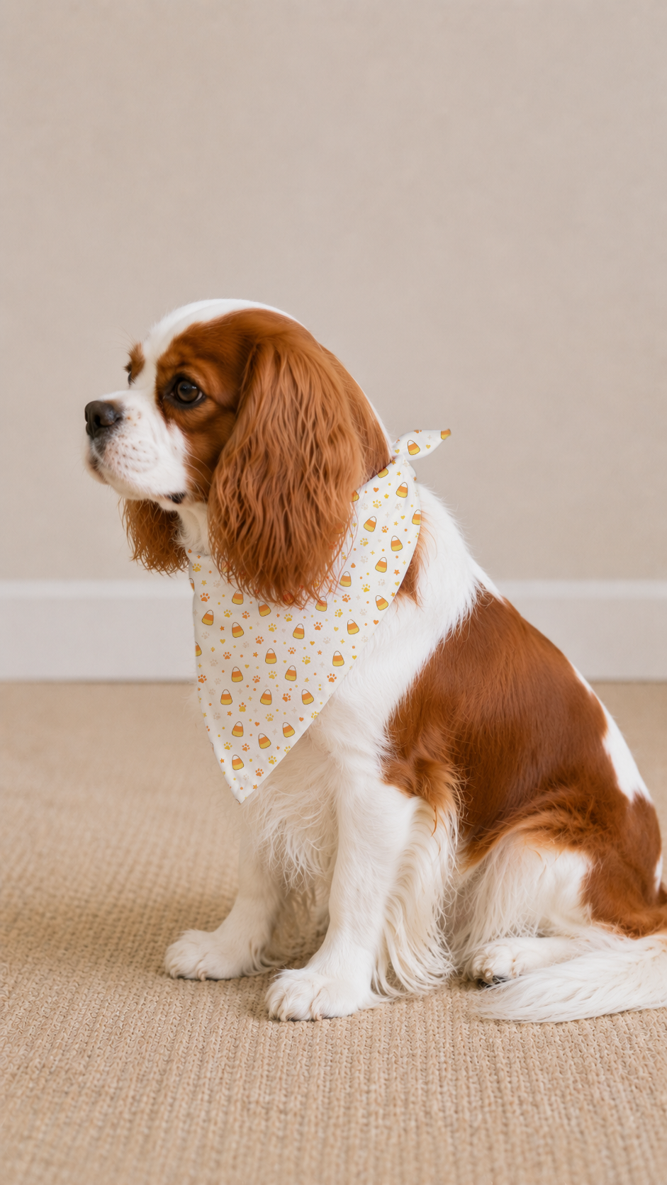 A brown and white Cavalier King Charles Spaniel dog wearing a white bandana with a yellow floral pattern, sitting on a beige carpet against a neutral beige wall.