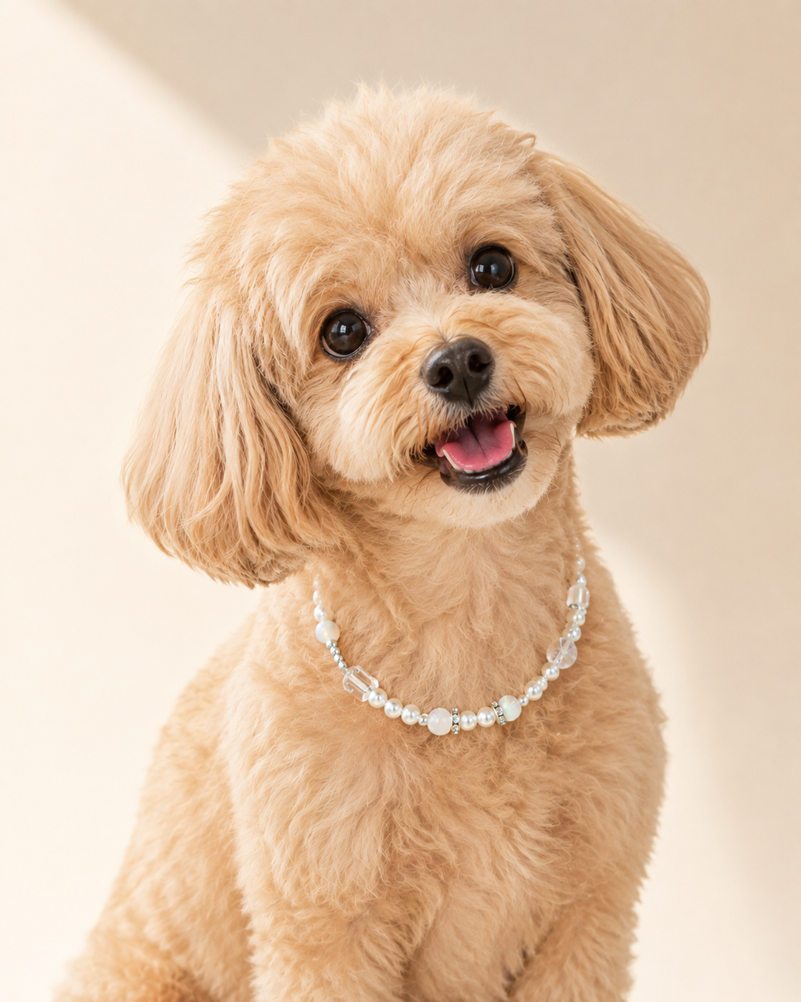 A small fluffy tan dog wearing a delicate white beaded collar, photographed against a soft cream background.