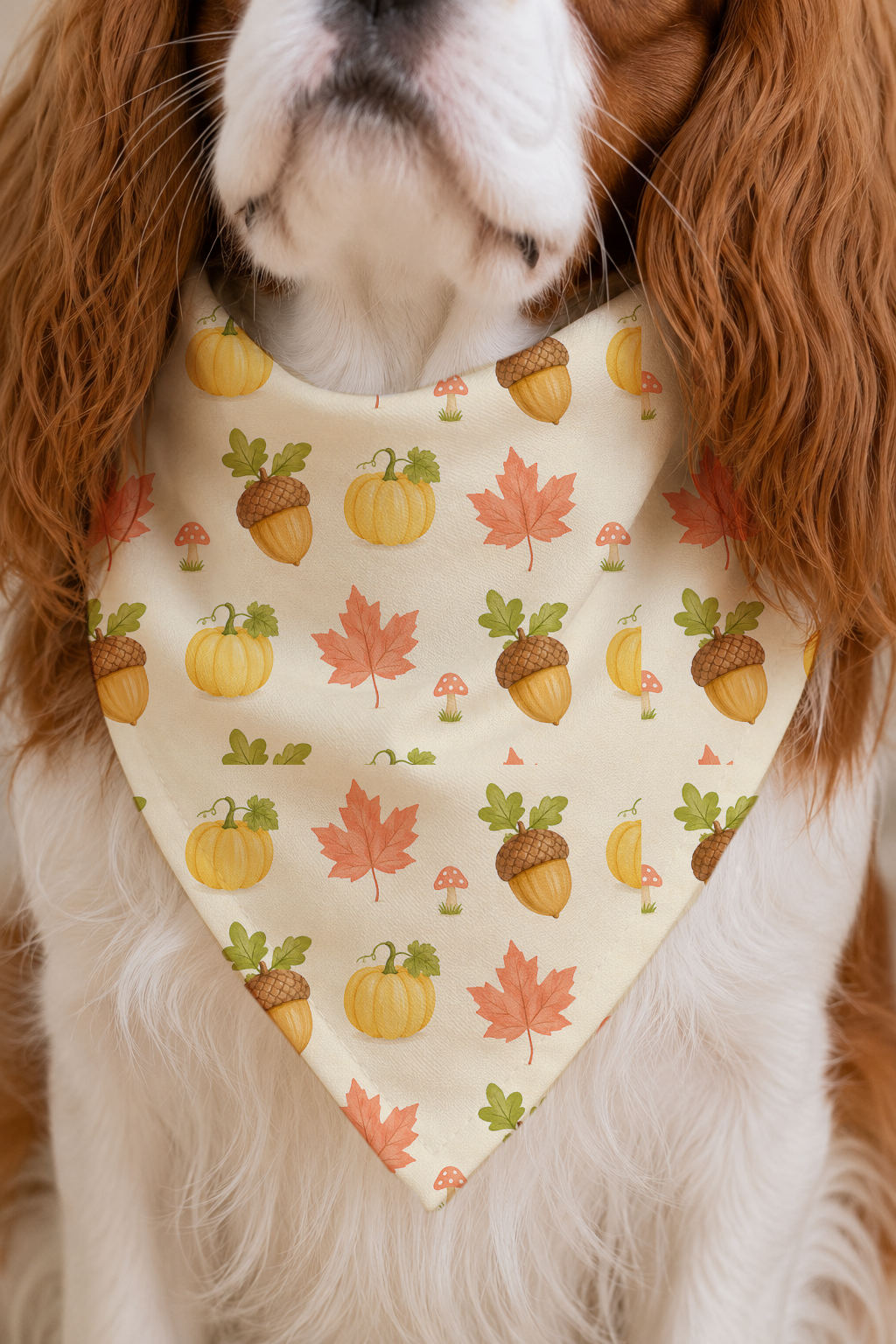 A close-up of a dog wearing a cream-colored bandana bib with an autumn print of pumpkins, acorns, maple leaves, and small mushrooms.