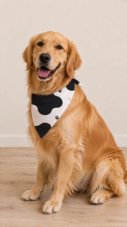 A golden retriever dog sitting on a light wood floor against a beige wall, wearing a black and white cow-print bandana with small black paw prints.