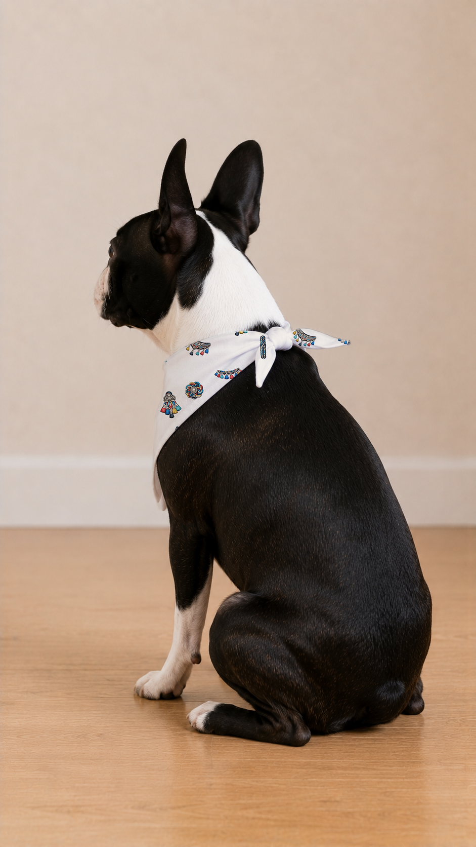 A black and white Boston Terrier dog sitting on a light wood floor, wearing a white bandana with a black cat pattern. The dog is photographed from behind and to the side against a neutral beige wall background.