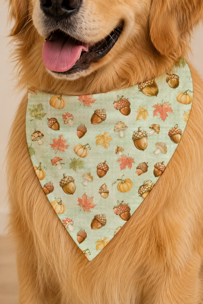 A golden retriever dog wearing a light sage green bandana-style pet scarf with an autumn pattern of acorns, pumpkins, and leaves.