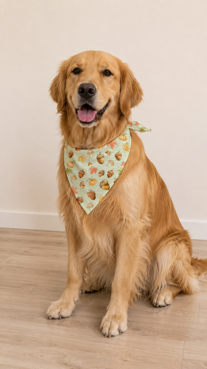A golden retriever dog sitting on a light wood floor against a plain beige wall, wearing a light green bandana with a pattern of small illustrated faces.